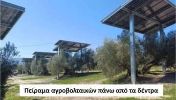 Προσπάθειες εγκατάστασης αγροβολταϊκών σε ελαιώνες στην Ισπανία • Θεσσαλική Γη • Τα Αγροτικά Νέα της Θεσσαλίας