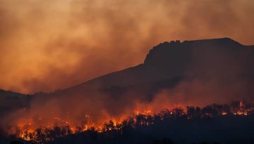 Κλιματική αλλαγή και ανθρώπινος παράγοντας