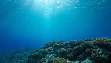 Ρεκόρ θερμοκρασίας στους ωκεανούς τον Ιούνιο – Άγγιξε τους 21°C η επιφάνεια της θάλασσας
