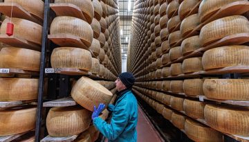 Οι καύσωνες απειλούν την παρμεζάνα – Μια παράδοση 800 ετών κινδυνεύει να χαθεί | in.gr
