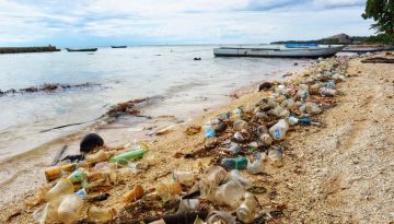 Επείγουσα ανάγκη ο περιορισμός των πλαστικών αποβλήτων – Τα μέτρα που προτείνει η WWF