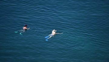 Βράζουν οι θάλασσες | in.gr