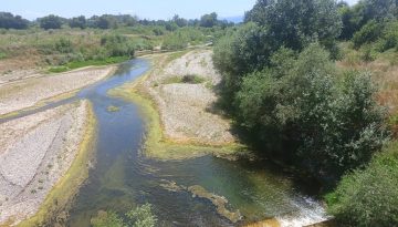 Πηνειός ποταμός: Εμφανής η πτώση της ροής του – Πού αποδίδεται