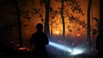Γαλλία: Εφιαλτική νύχτα στο δάσος του Φονταινεμπλώ – Στη «μάχη» με τις φλόγες και ο στρατός (βίντεο)