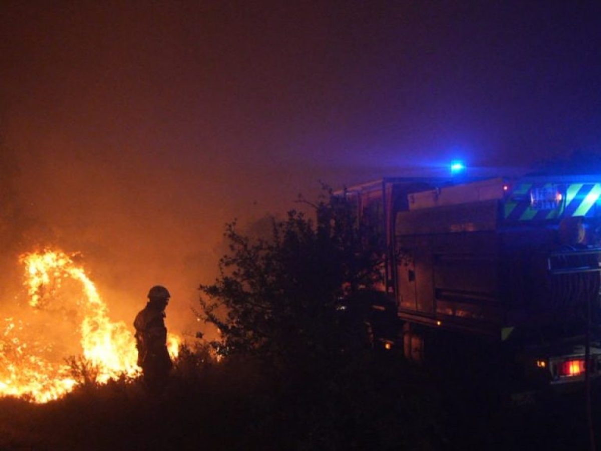 Γαλλία: Ρεκόρ καμένων εκτάσεων μέχρι τα μέσα του Ιουλίου