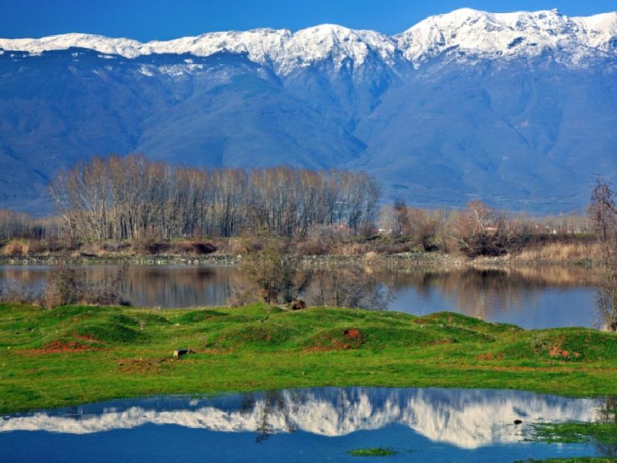 Απόφαση-ορόσημο του ΔΕΕ για τις περιοχές Natura 2000: Χωρίς στόχους διατήρησης δεν μπορούν να αδειοδοτούνται έργα