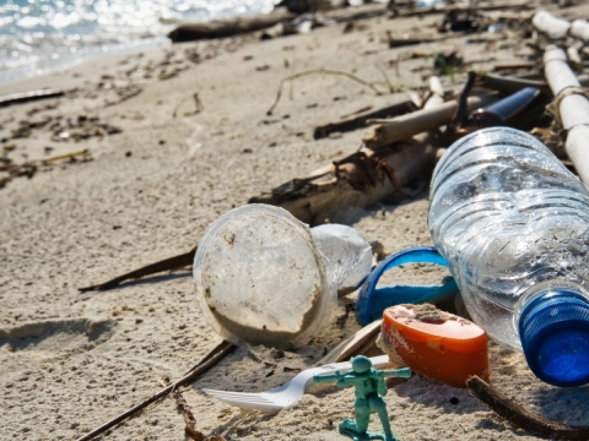WWF: Οι ελληνικές παραλίες εξακολουθούν να «πνίγονται» από πλαστικά, τα αποτσίγαρα το συχνότερο εύρημα