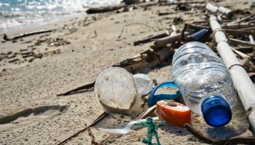 WWF: Οι ελληνικές παραλίες εξακολουθούν να «πνίγονται» από πλαστικά, τα αποτσίγαρα το συχνότερο εύρημα