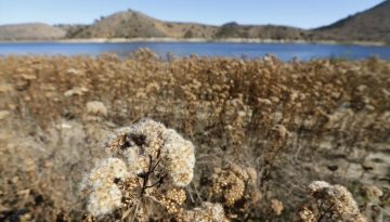 Συναγερμός για την ξηρασία στις ΗΠΑ: Σε ιστορικά χαμηλά οι δύο μεγαλύτεροι ταμιευτήρες νερού