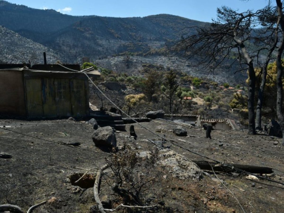 WWF: Περισσότερα από 180.000 στρέμματα καμένων δασικών εκτάσεων σε λίγες μόλις μέρες