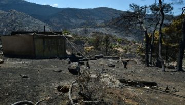 WWF: Περισσότερα από 180.000 στρέμματα καμένων δασικών εκτάσεων σε λίγες μόλις μέρες