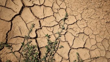 Γαλλία: Η έντονη ζέστη δεν υποχωρεί και η ξηρασία κερδίζει έδαφος