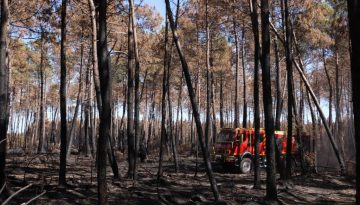«Ντροπή!»: Αποδοκιμάστηκε ο Λεκορνί στην πυρόπληκτη Ζιρόντ της Γαλλίας