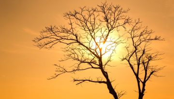 Ποιες μολυσματικές ασθένειες επιδεινώνονται από τους καύσωνες στην Ευρώπη – Προειδοποιήσεις και συστάσεις | in.gr