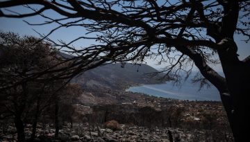 Πυρκαγιά στο Πόρτο Γερμενό: Έως 14 βαθμούς υψηλότερη η θερμοκρασία του εδάφους