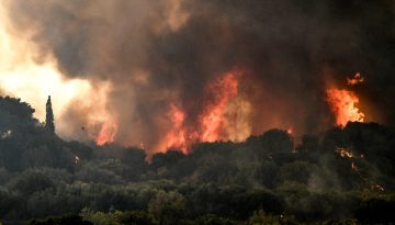 ΓΕΩΤ.Ε.Ε.: Έξι προτάσεις για μια αποτελεσματικότερη πολιτική δασοπροστασίας • Θεσσαλική Γη • Τα Αγροτικά Νέα της Θεσσαλίας