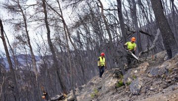Πυρόπληκτη Δυτική Αττική: Ξεκίνησαν τα αντιδιαβρωτικά και αντιπλημμυρικά έργα