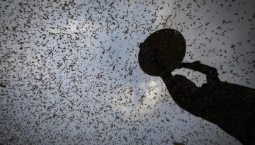 Σούπερ Ελ Νίνιο: Εκτιμήσεις για 450.000 θανάτους τους επόμενους 6 μήνες