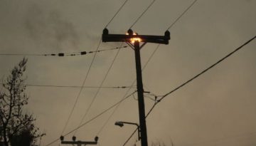 Το WWF για την «ειδική μεταχείριση» των στελεχών του ΔΕΔΔΗΕ